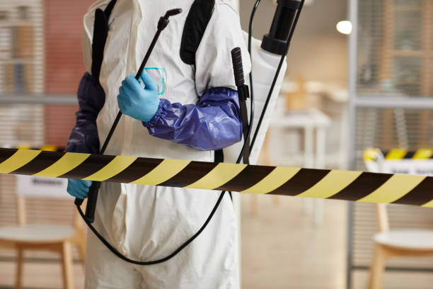 Professional Blood Cleanup technician working in Columbus, TX